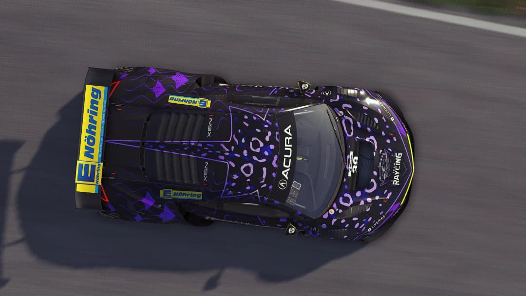 Team RaYcing 2025: Professionalisierung